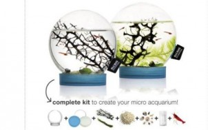 Beachworld Ökosystem + Geschenkideen für Männer und Gadgets