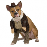 was soll ich verschenken - Hundekostüm Indiana Jones